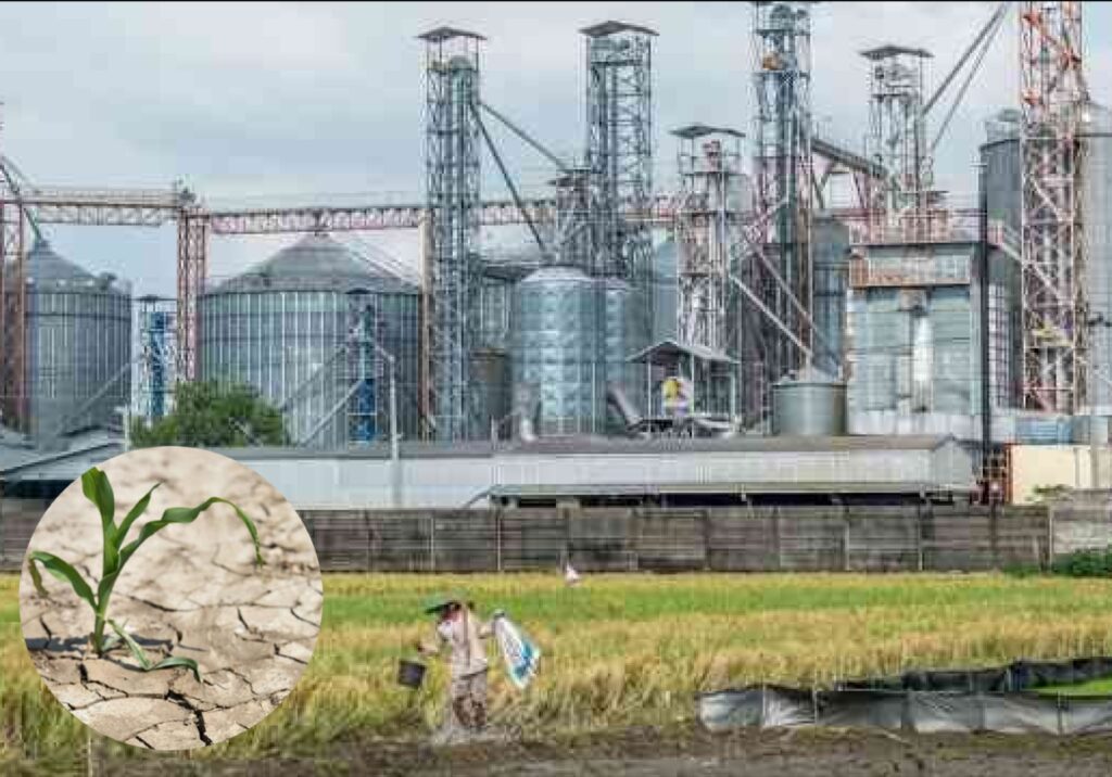 Karpet Merah Bagi Investor Tiongkok di Solo Raya, Sudah Siapkah Kita?